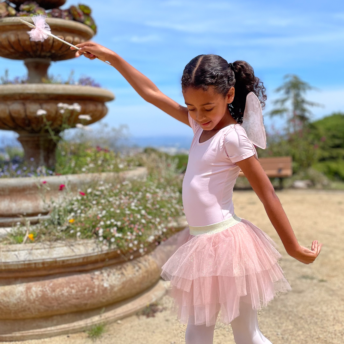 TUTU WITH WINGS